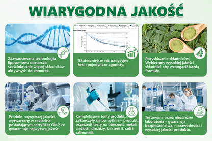 💐💐𝑨𝑵𝑮𝑬𝑳𝑻𝑹𝑨𝑷® Moringa × Berberyna × AMPK 10-w-1 Wsparcie metaboliczne, plaster z nanotechnologią mikroigłową 🇵🇱(Wystarczy raz dziennie, widoczne efekty w 7 dni) ✅ Na otyłość, wiotką skórę, bezdech senny, problemy ze stawami i wiele innych